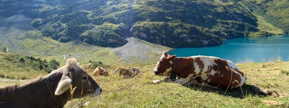 Ways to Get in Shape for Hiking the Alps | Trailblazer Wellness